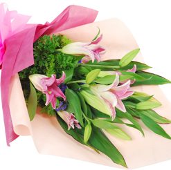 joyful Pink Lilies