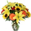 Brighten Your Day