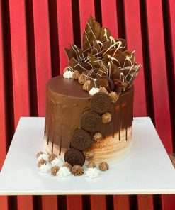 Chocolate Cream Cake 01